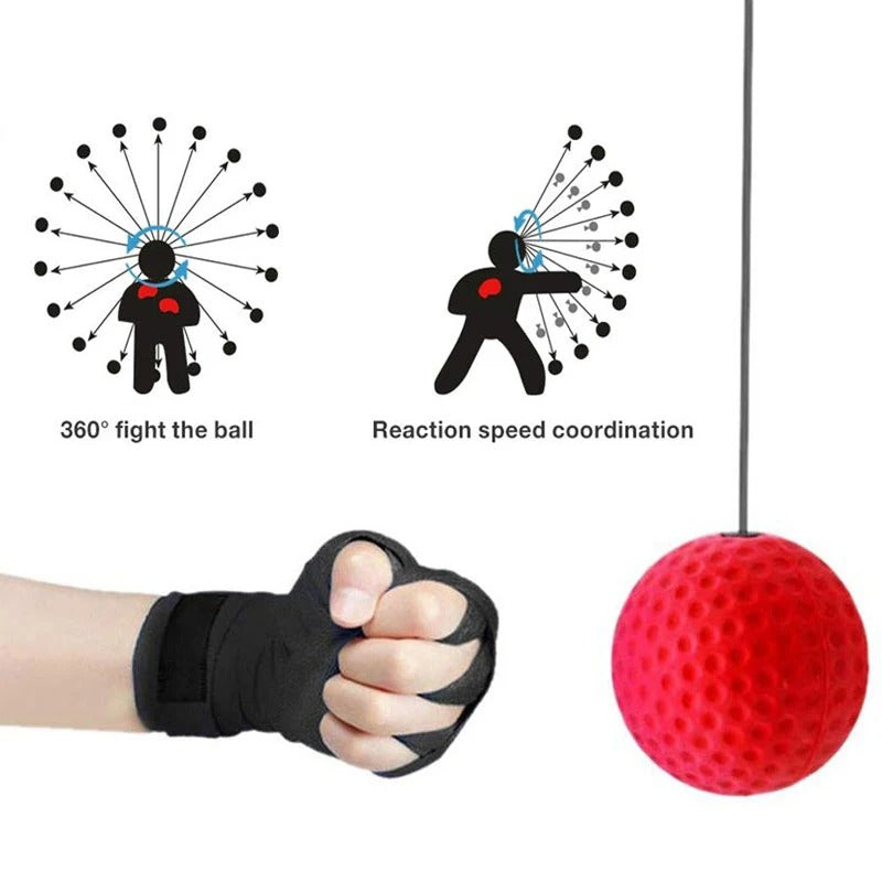 Boxing Reflex Ball- Fusion Flex