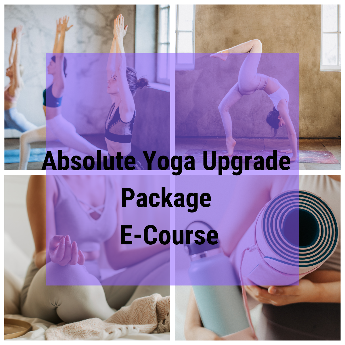 Absolute Yoga Digital Course - Fusion Flex - Instant Download