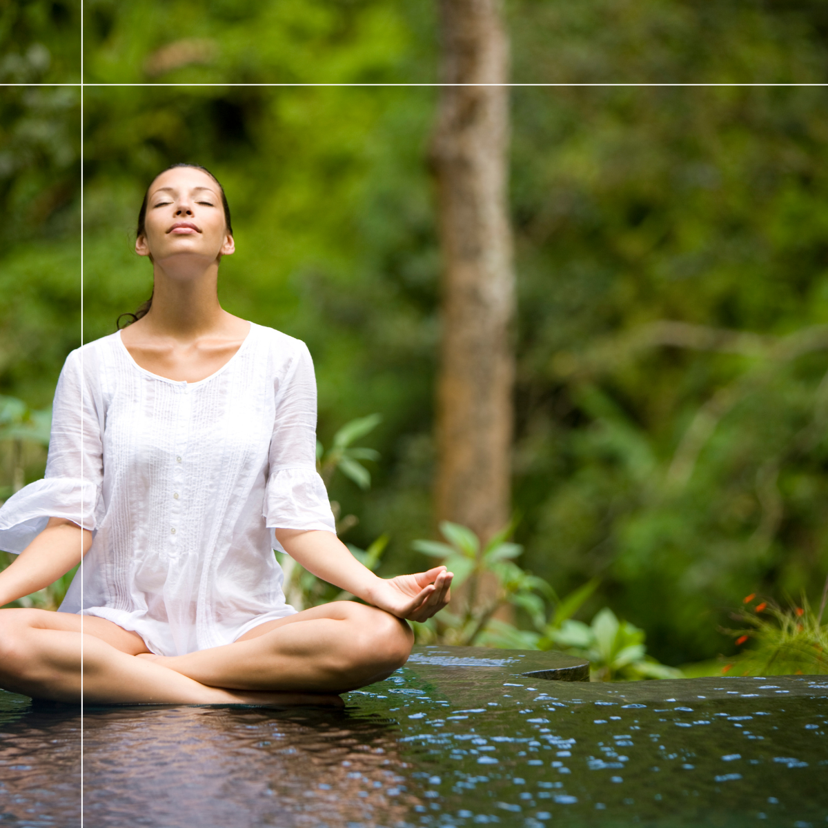 Wholeness: A Complete Guide to All-Natural Holistic Wellness - Digital Download