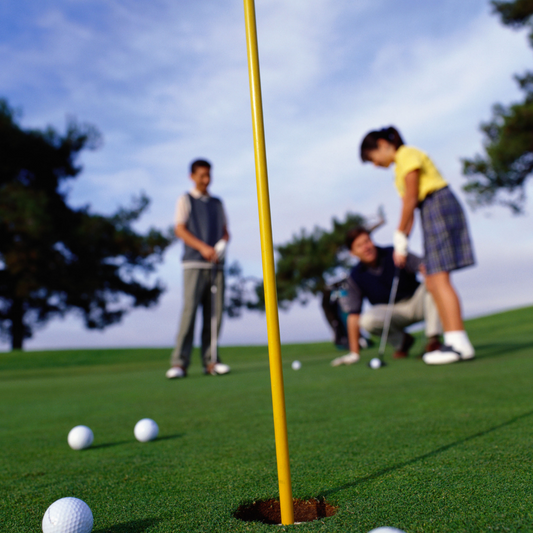 One Big Collection Of Golf Titles eBooks - Fusion Flex - Digital Download