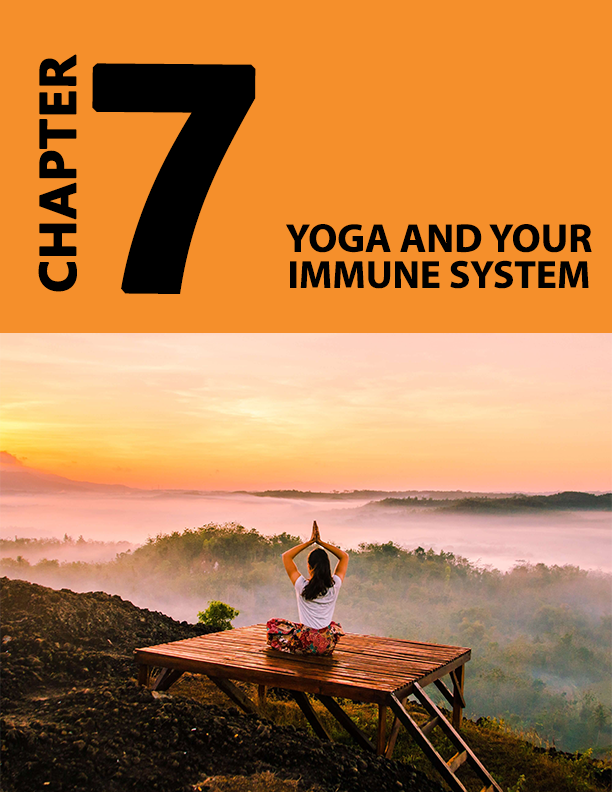 Absolute Yoga Digital Course - Fusion Flex - Instant Download