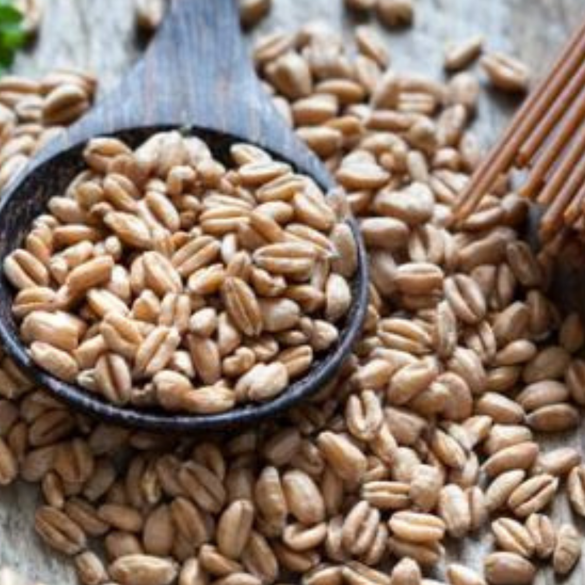10 Superfoods For Optimal Brain Health and Performance - Fusion Flex - Digital Download