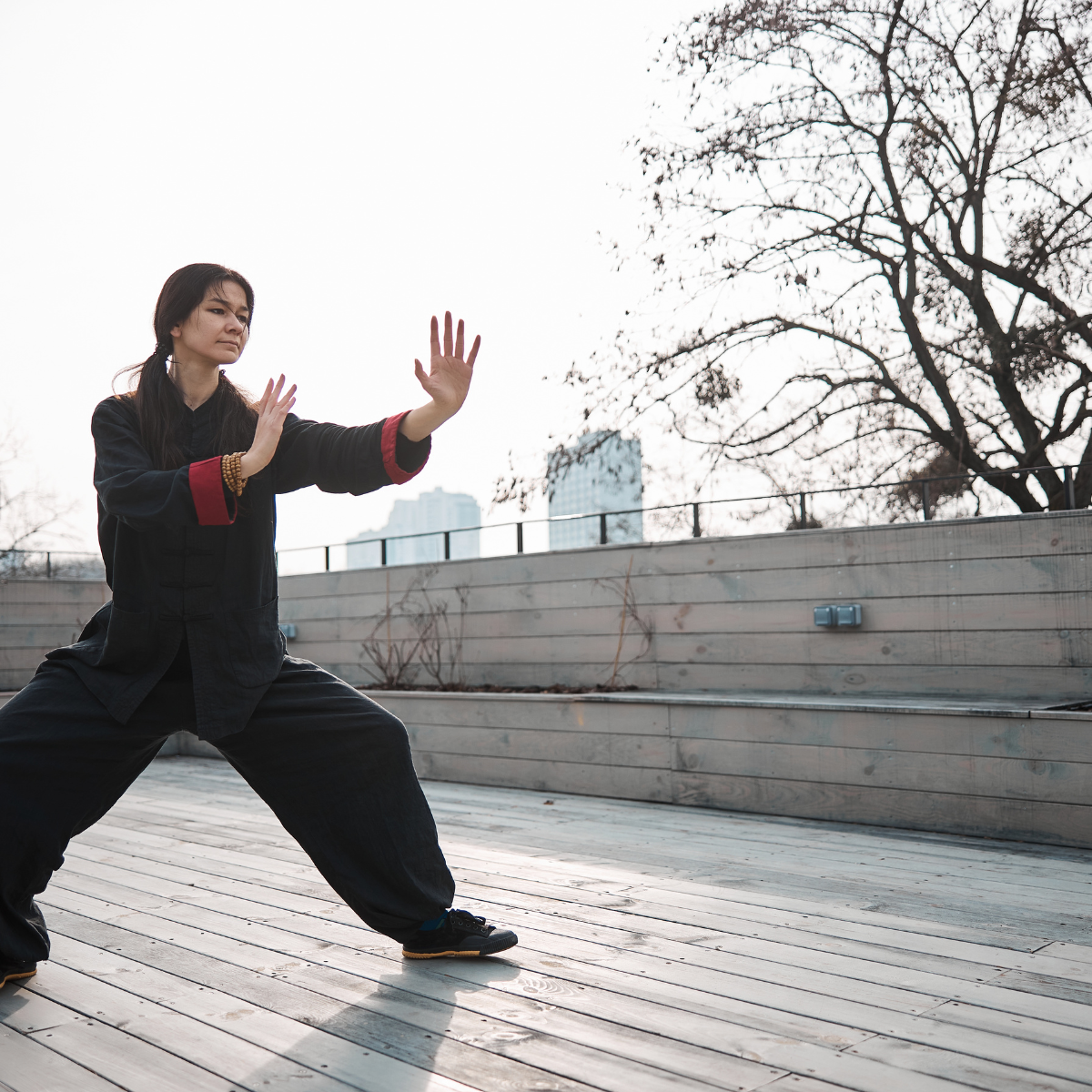 The Ultimate Martial Arts Ebook Collection