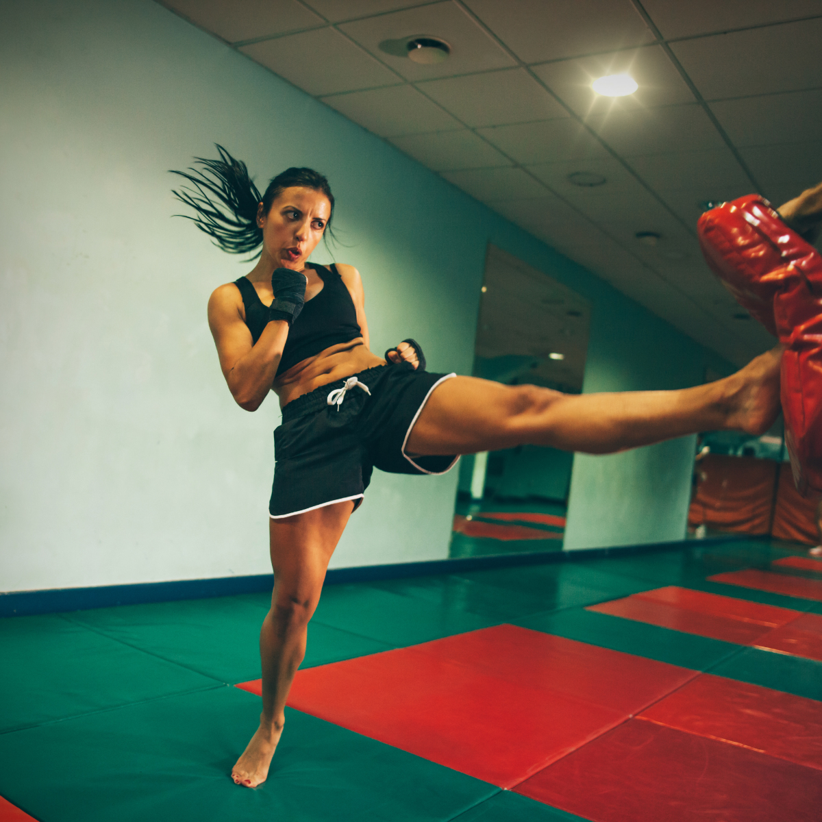 Mixed Martial Arts - Digital PDF Guide