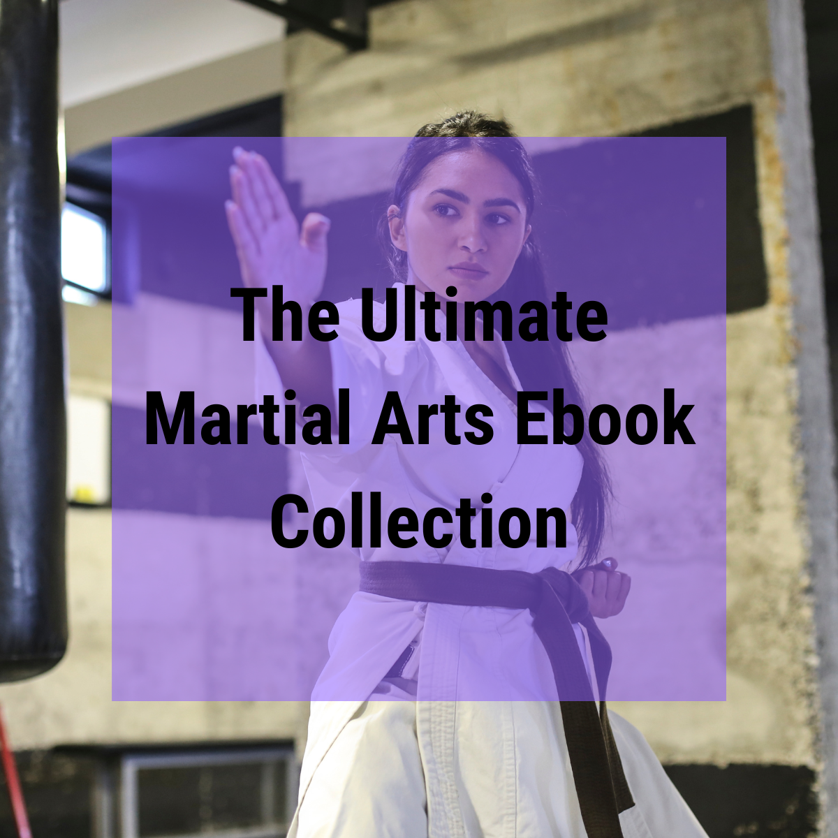 The Ultimate Martial Arts Ebook Collection