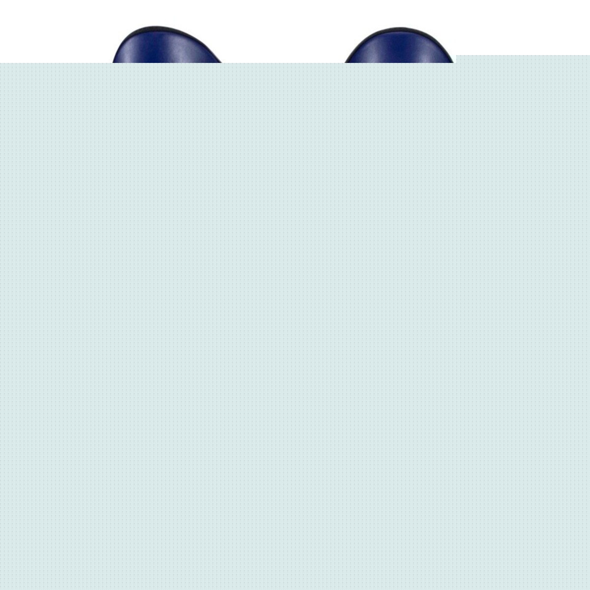 Fairtex SP5 Muay Thai Shin Pads - Blue