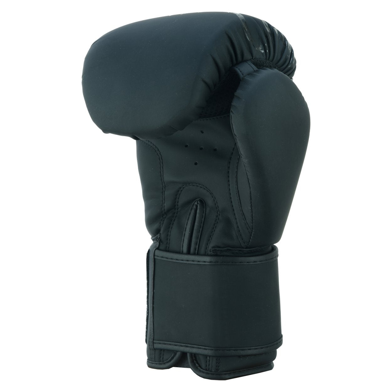 PMA Twin Tigers Muay Thai Boxing Gloves & Shin Pads Set - Black