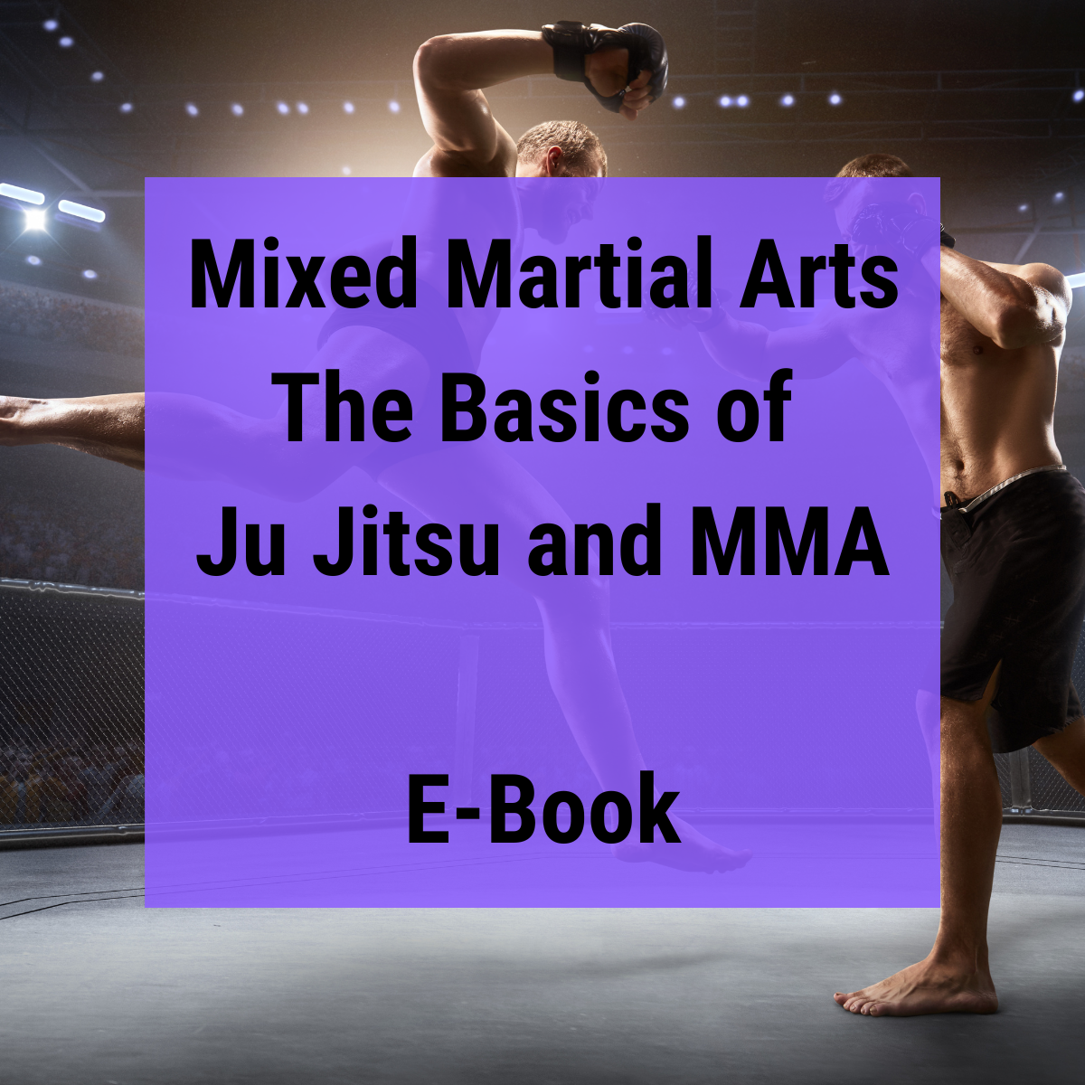 Mixed Martial Arts - Digital PDF Guide
