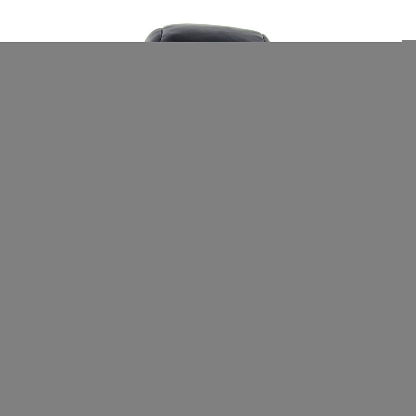 Fairtex Round Pro Boxing Donut Shield