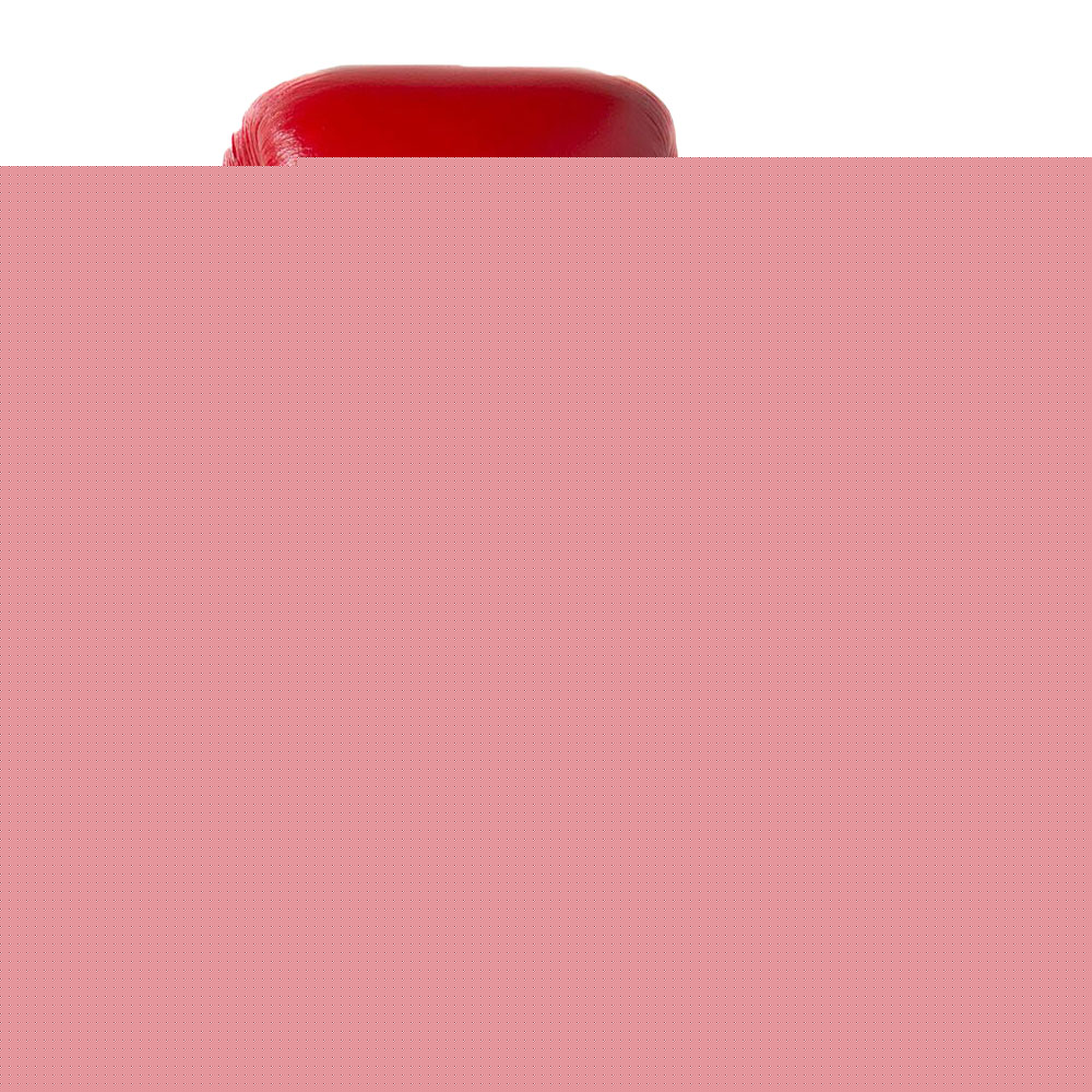 Sandee Authentic Leather Boxing Gloves - Red