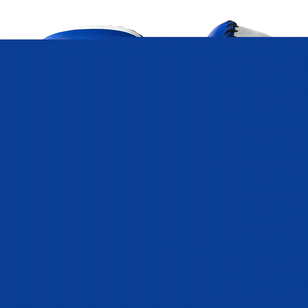 Sandee Muay Thai Leather Curved Kick Pads - Pair